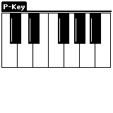 P-Key v0.13